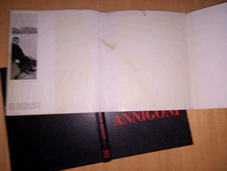 Pietà e amore nell'arte di PIETRO ANNIGONI