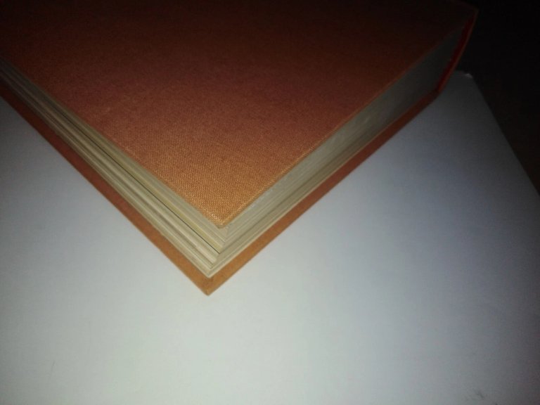 rivista DIANA ARMI - 12 numeri del 1983 rilegati in …