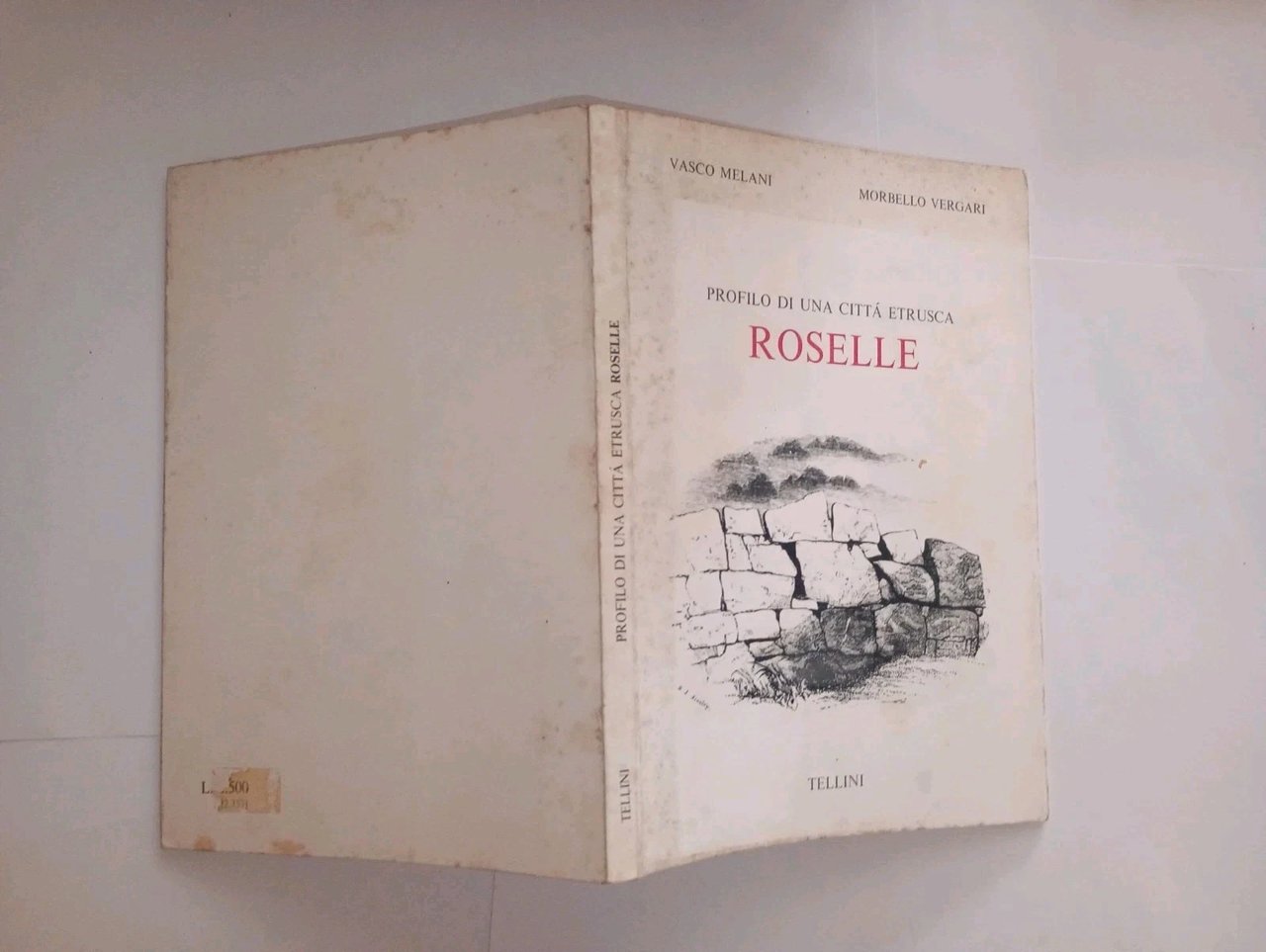 ROSELLE. profilo di una città etrusca | Immagine principale