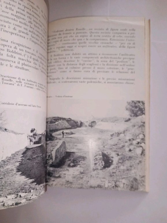 ROSELLE. profilo di una città etrusca | Immagine Gallery 3