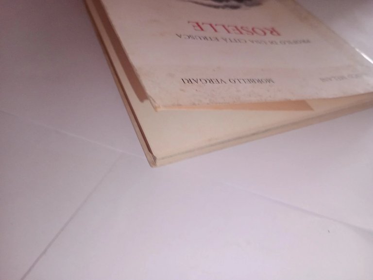 ROSELLE. profilo di una città etrusca | Immagine Gallery 4