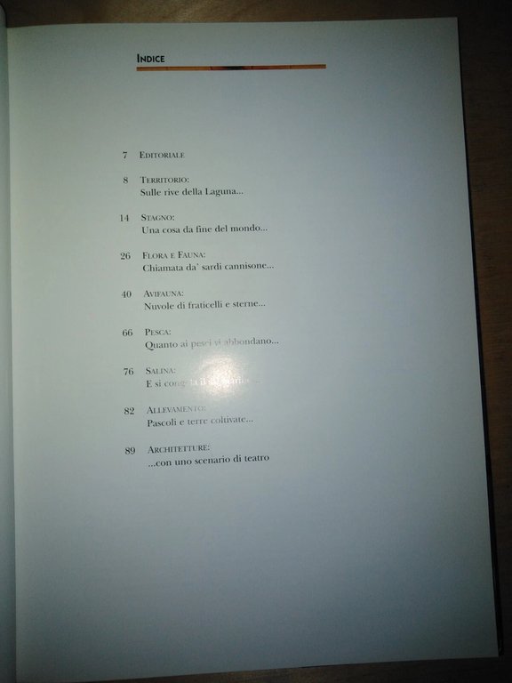 colori e riflessi della laguna (comune Cagliari)