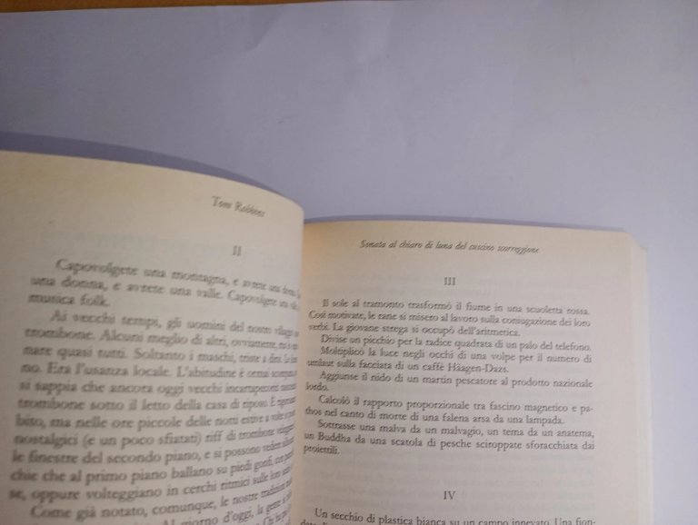 Schegge d'America. nuove avanguardie letterarie