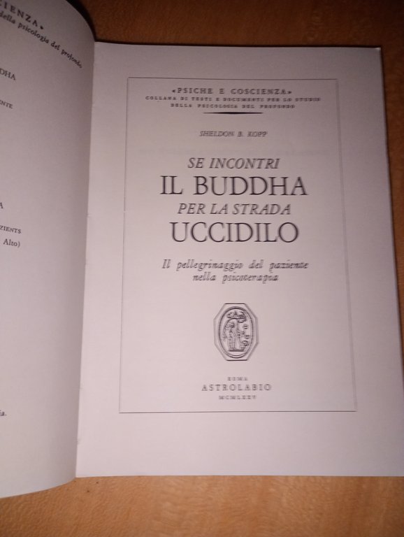 se incontri il Buddha per la strada uccidilo | Immagine Gallery 2