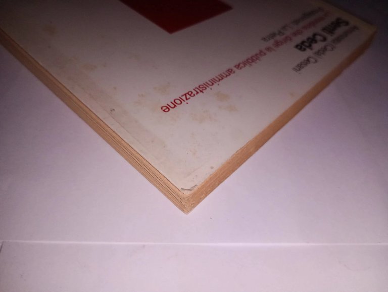 SENTI CEDA. LA MONDINA CHE DIRIGE LA PUBBLICA AMMINISTRAZIONE