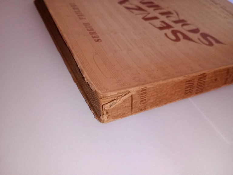 Senza sordina. saggi critici e menzogne artistiche