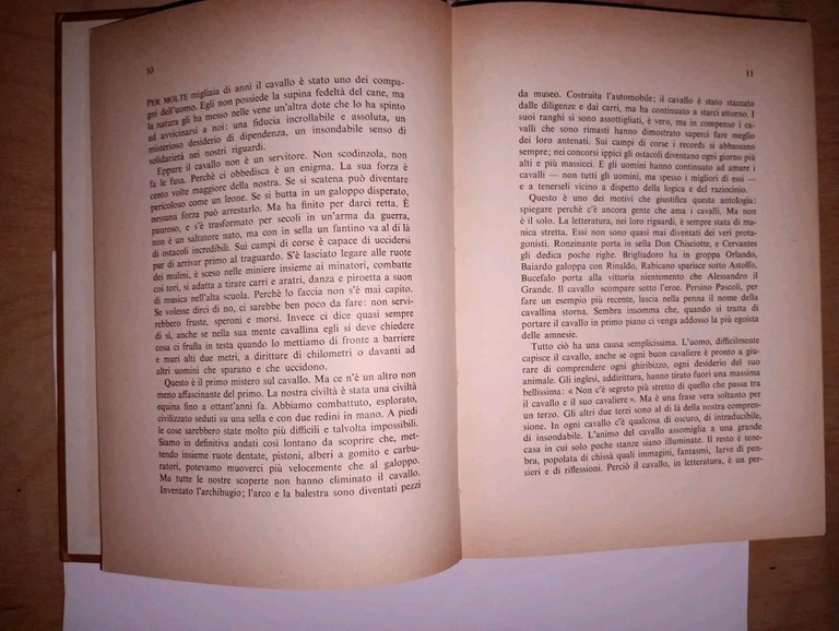 storie di cavalli | Immagine Gallery 3