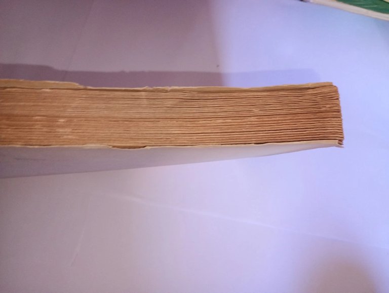 Studi Urbinati di scienze giuridiche ed economiche anno XXIII nuova … | Immagine Gallery 3