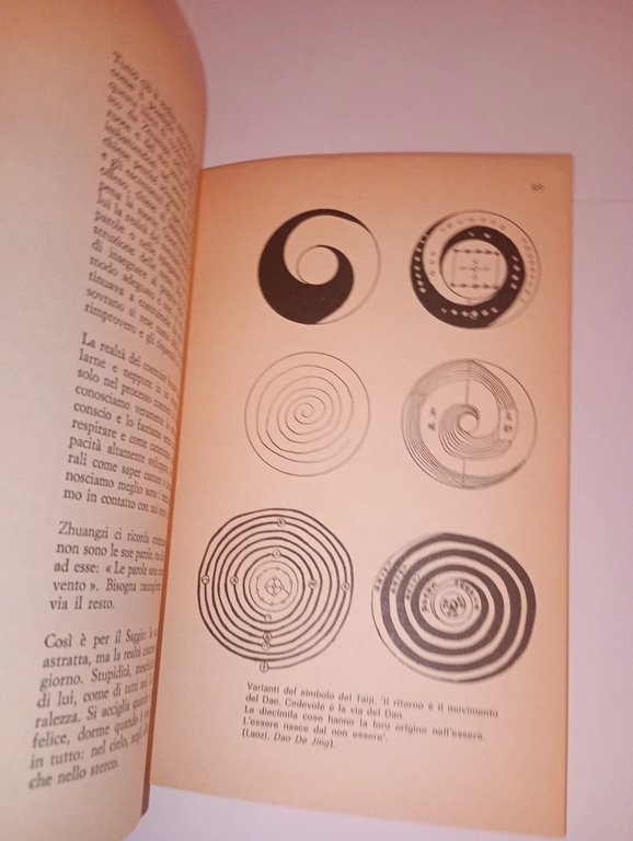 TAIJI QUAN (TAI CHI CHUAN). meditazione in movimento