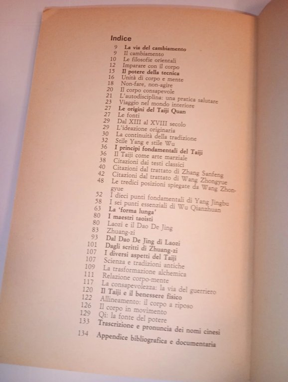 TAIJI QUAN (TAI CHI CHUAN). meditazione in movimento
