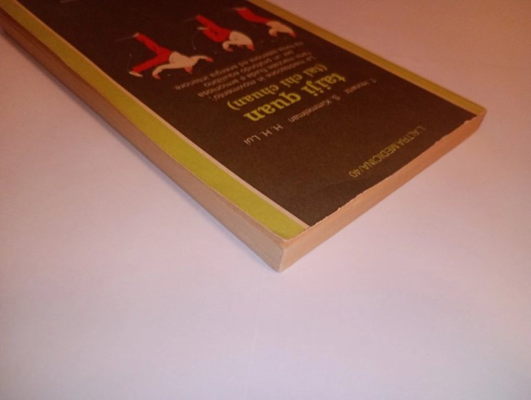 TAIJI QUAN (TAI CHI CHUAN). meditazione in movimento