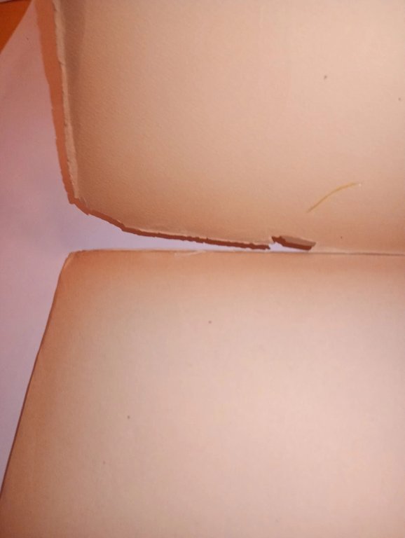 TOADER IORAS, Il mondo arde ad una stessa fiamma