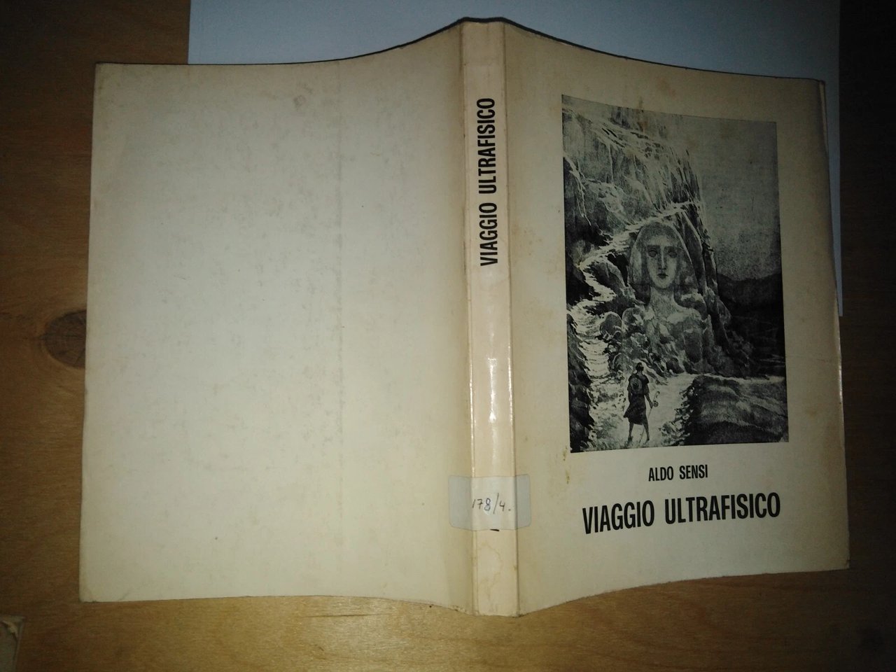 viaggio ultrafisico | Immagine principale