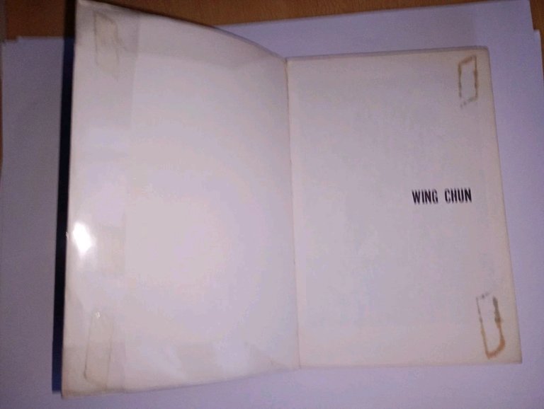 Wing chun kung-fu. chinese art of self-defense