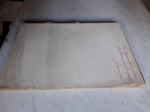 Avventure meravigliose di Gingillino intorno al mondo - Illustrazioni di …