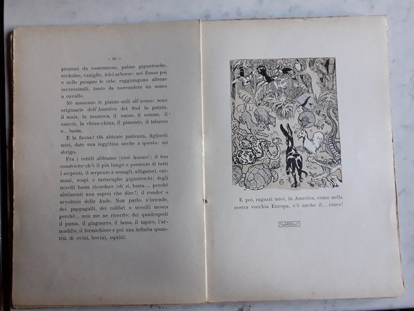 Avventure meravigliose di Gingillino intorno al mondo - Illustrazioni di …