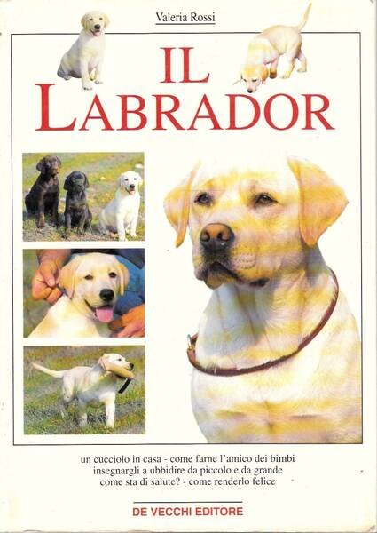 IL LABRADOR