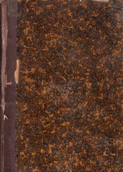 ROMOLA. ROMANZO STORICO