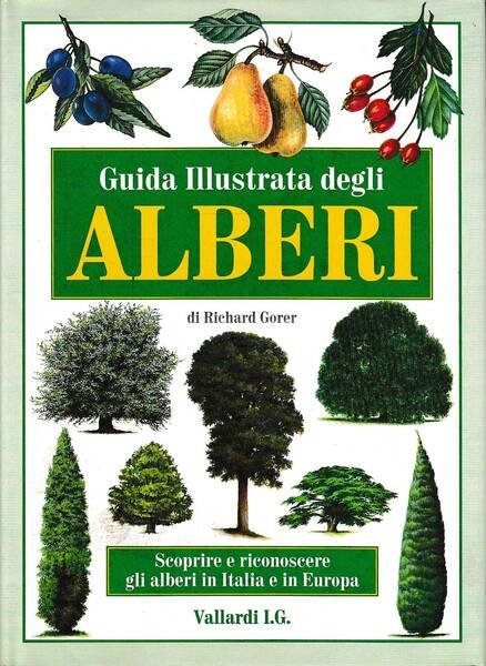 Guida illustrata degli alberi