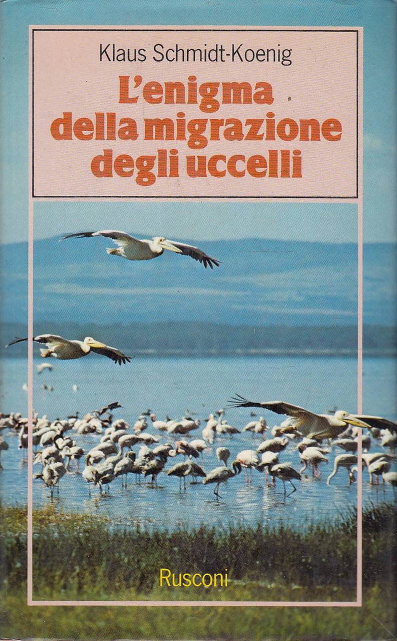 L'enigma della migrazione degli uccelli