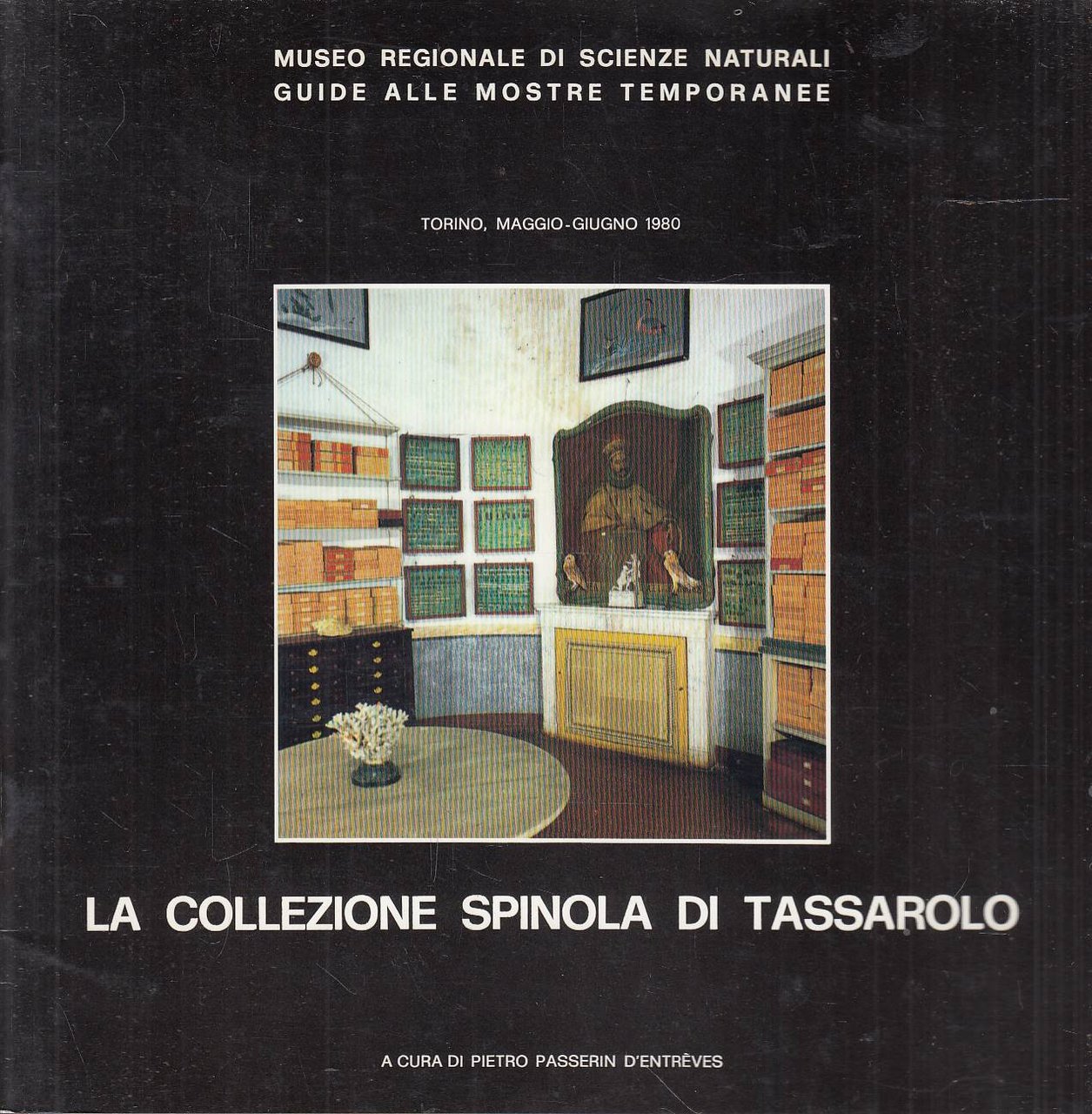 La collezione Spinola di Tassarolo