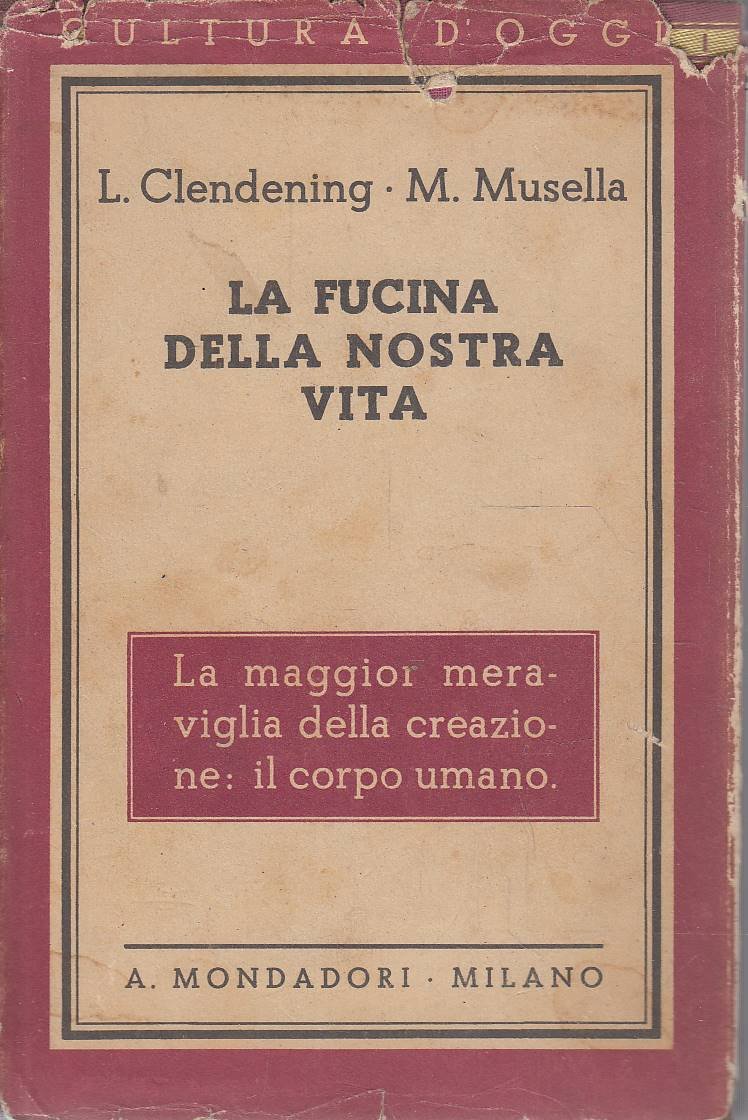 La fucina della nostra vita. Il corpo umano.