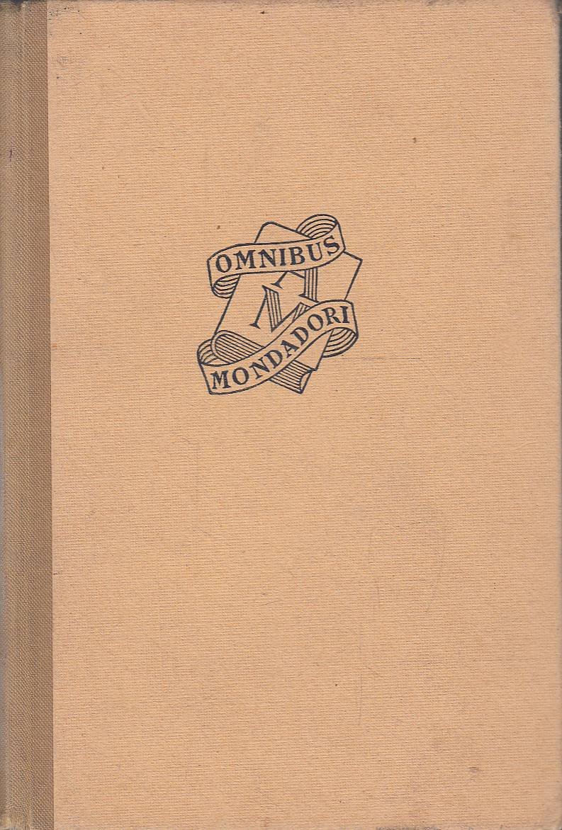 La grande pioggia. Romanzo dell'India moderna