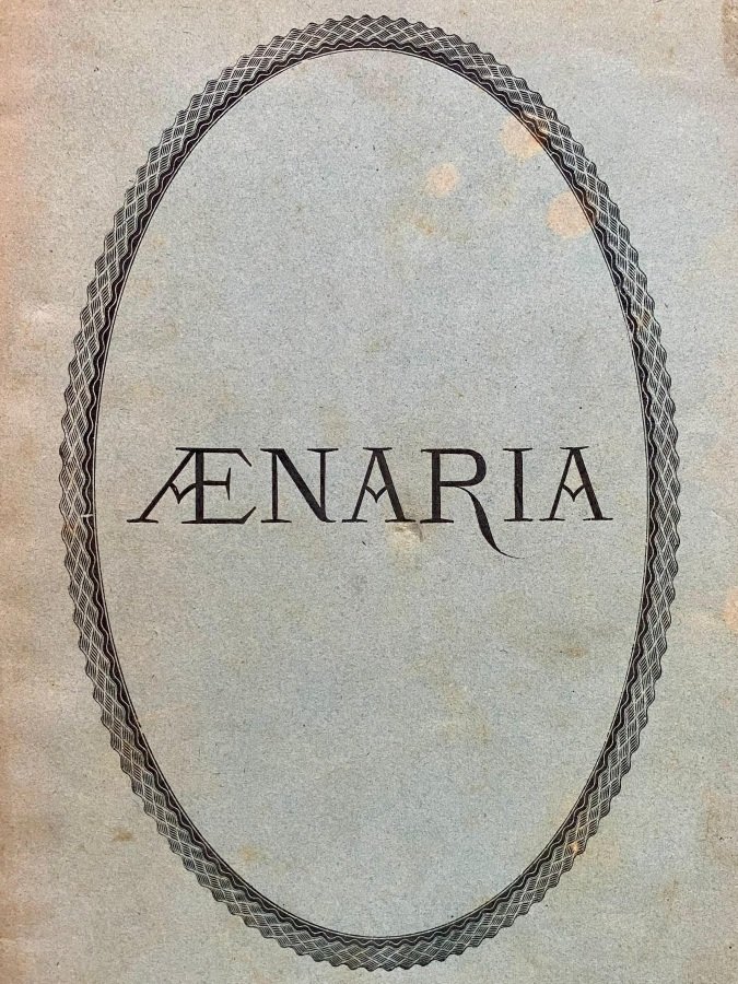 Aenaria. Strenna di carità a benefizio dei danneggiati dal tremuoto … | Immagine principale