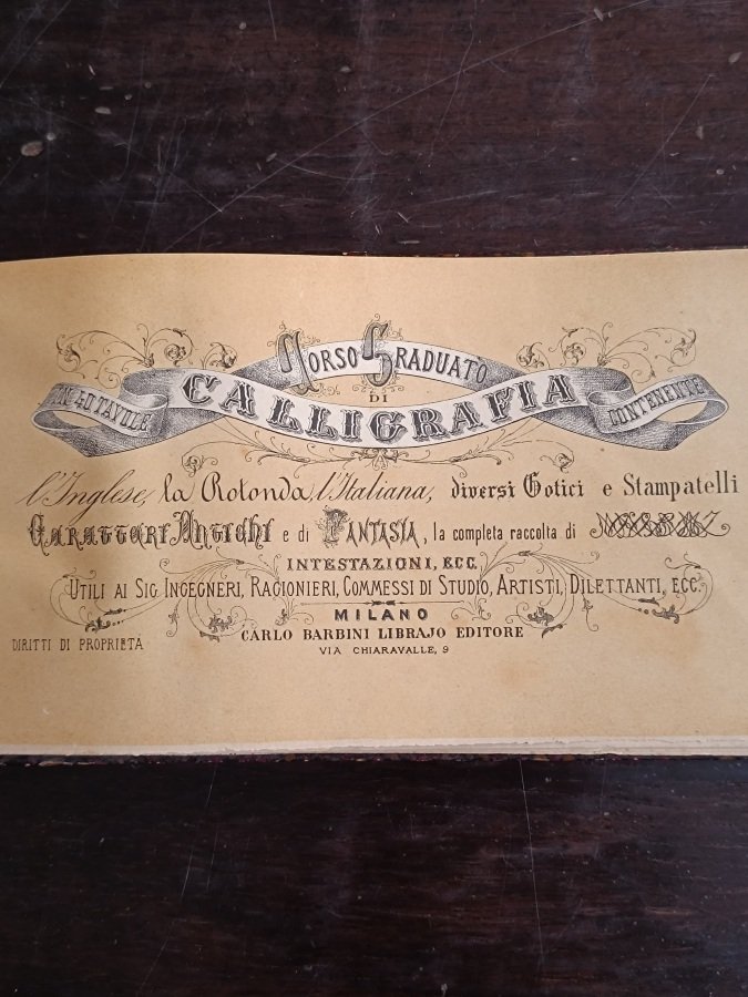 Corso graduato di calligrafia in 40 tavole contenente l'Inglese, la …