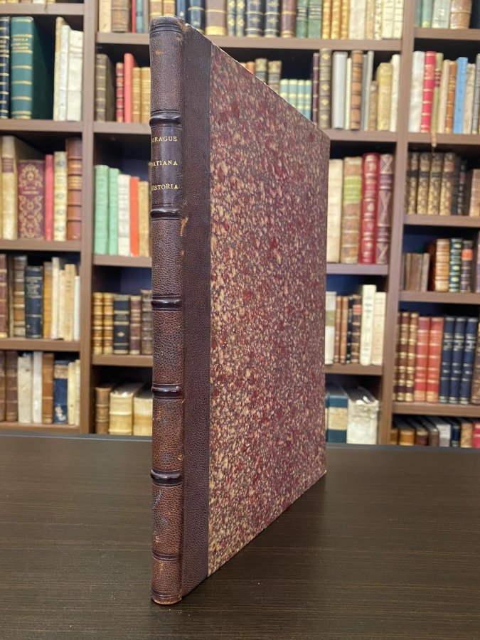 Datiana Historia Ecclesiae Mediolanensis ab anno Christi LII ad CCCIV … | Immagine principale