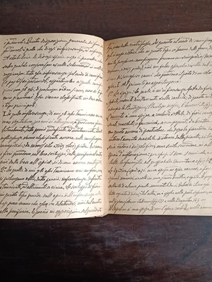 Elementi di botanica ordinati specialmente alla conoscenza delle piante utili … | Immagine principale