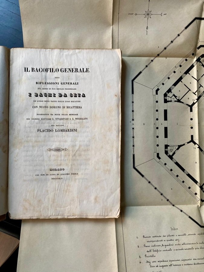 il bacofilo generale ossia riflessioni generali sul modo di far … | Immagine principale