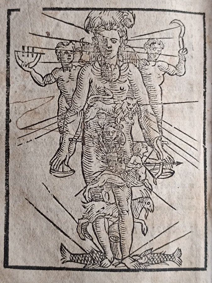 Libro intitulato il perché, tradotto di latino in italiano [.] …