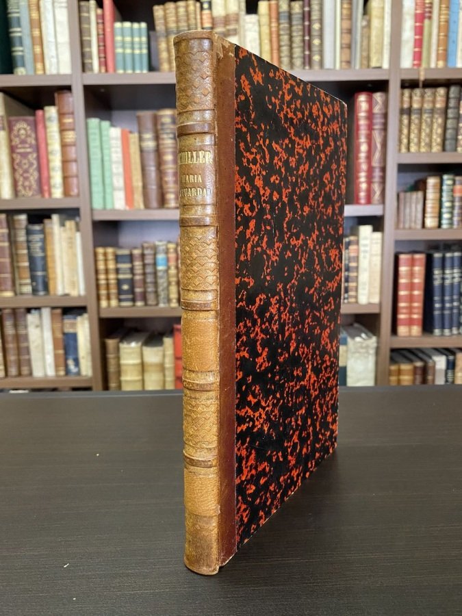 Maria Stuarda tragedia. Traduzione del cavaliere Andrea Maffei. | Immagine principale