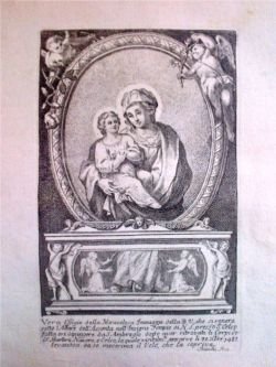 Notizie istoriche intorno alla miracolosa immagine ed insigne tempio della …