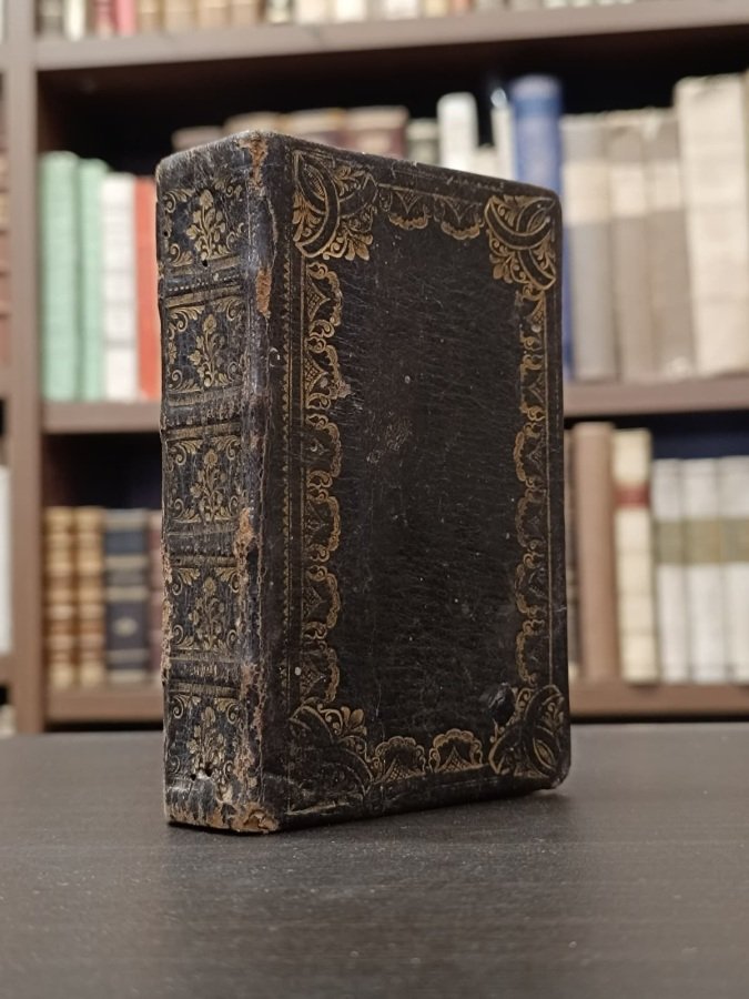 Palma a Kwet Poboznosti. | Immagine principale