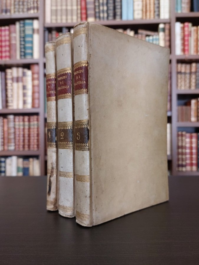 Principj di strategia applicati alla campagna del 1796 in Germania …