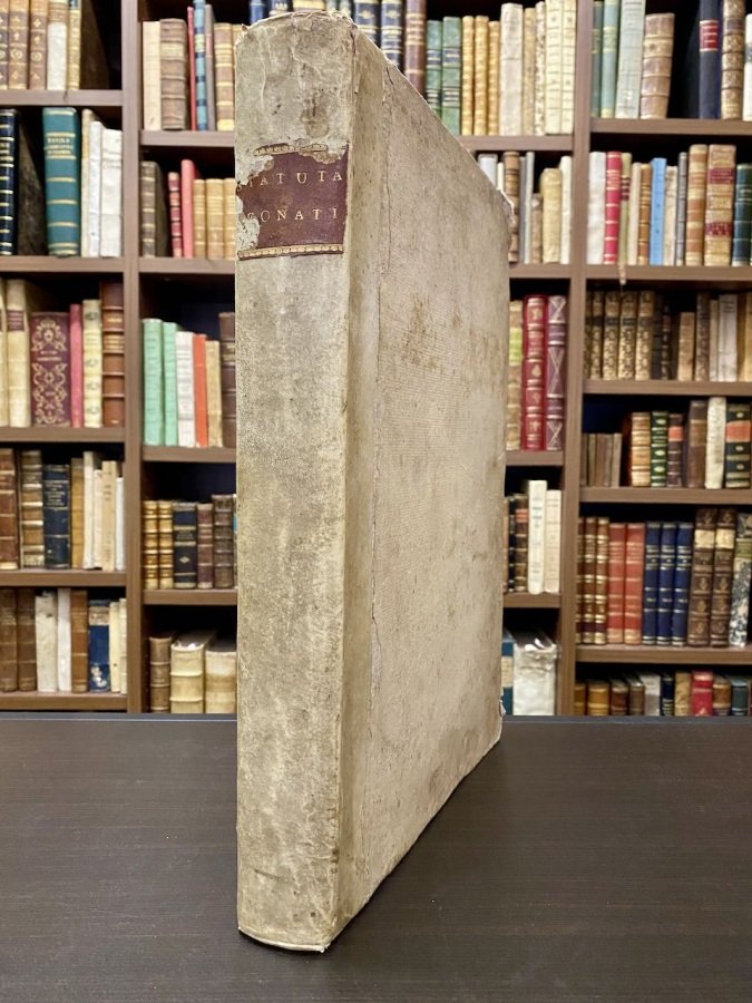Statuta civilia et criminalia Communitatis Leonati [.]. | Immagine principale