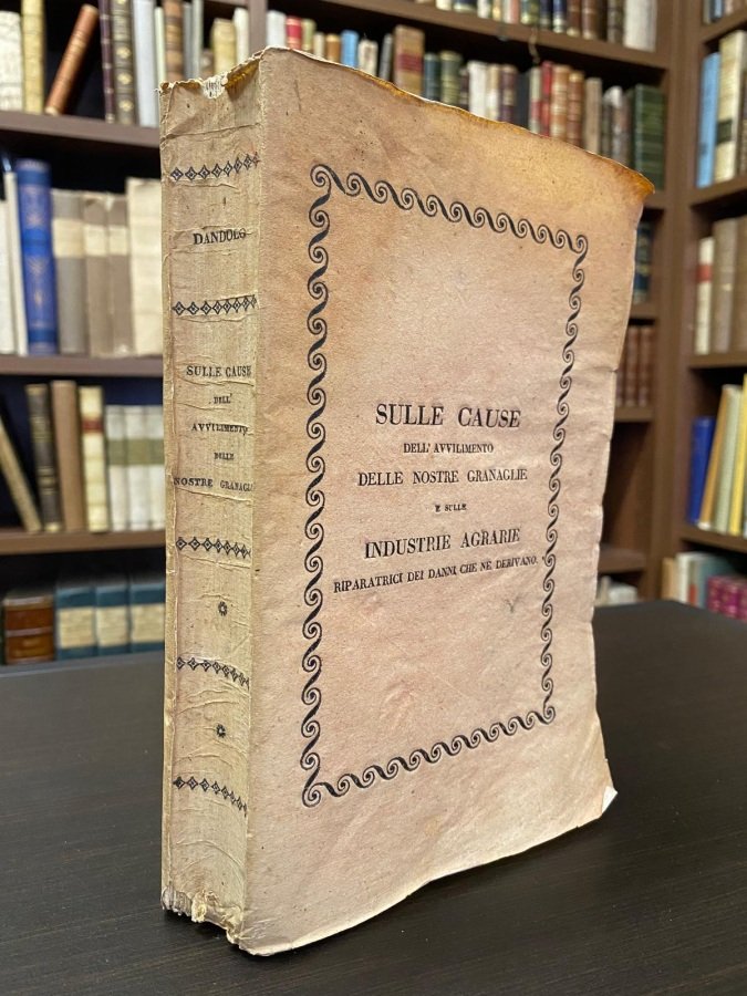 Sulle cause dell'avvilimento delle nostre granaglie e sulle industrie agrarie … | Immagine principale