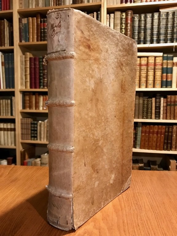 Tractatus de fratribus in tres partes divisus [-Tractatus de positionibus] …