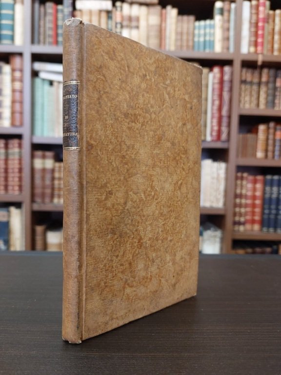 Trattato di miniatura per imparare facilmente a dipingere senza maestro; …