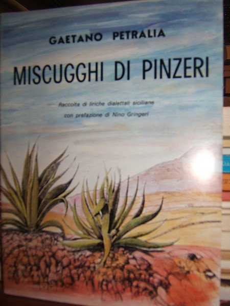 MISCUGGHI DI PINSERI.