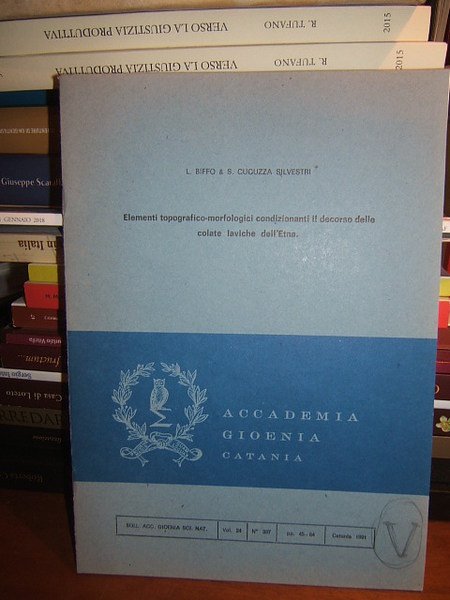 ELEMENTI TOPOGRAFICO MORFOLOGICI CONDIZIONANTI IL DECORSO DELLE COLATE LAVICHE DELL'ETNA | Immagine Gallery 1