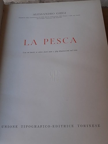 LA PESCA