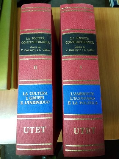 LA SOCIETA' CONTEMPORANEA