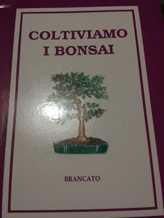 COLTIVIAMO I BONSAI