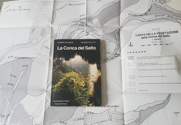 LA CONCA DEL SALTO