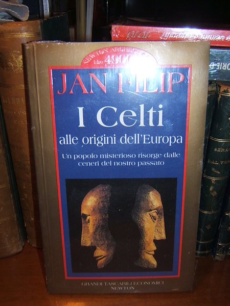 I CELTI ALLE ORIGINI DELL'EUROPA.