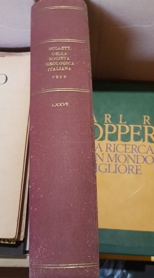 BOLLETTINI DELLA SOCIETA GEOLOGICA ITALIANA VOL LXXVII