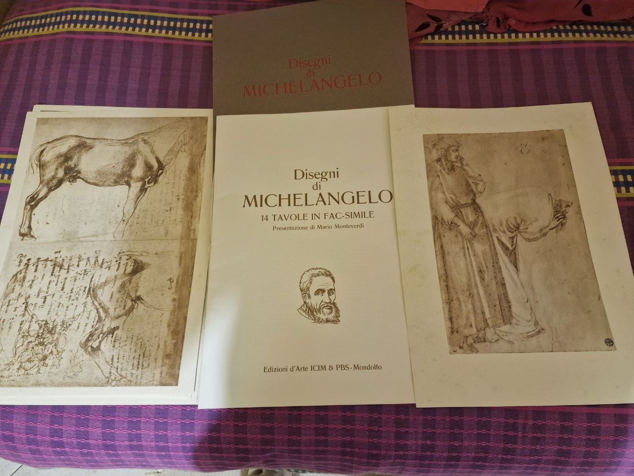 DISEGNI DI MICHELANGELO